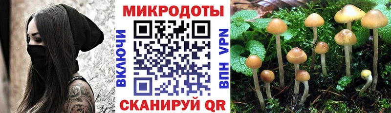 Галлюциногенные грибы GOLDEN TEACHER  Купить закладки  Красноперекопск 